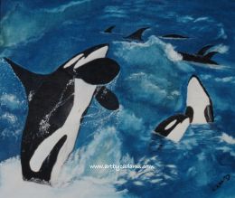 Orcas at Play (size: 16 x 20)