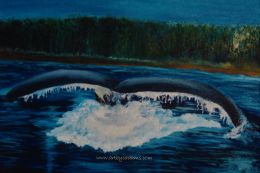 Whale Tail (Panoramic Gallery Wrapped Canvas Format: 24x16)