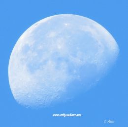 Cerulean Moon  Small Print (small prints: 8 x 8 sp)