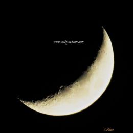 Crescent Moon (size: 12 x 12)