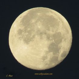 Full Moon Night (size: 16 x 16)