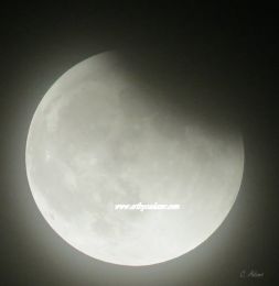 Lunar Eclipse (size: 10 x 10)