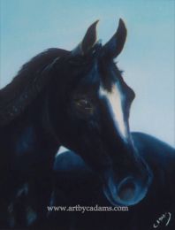 Lupin (size: 16 x 20)