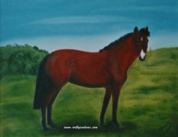 Maybe (size: 16 x 12)