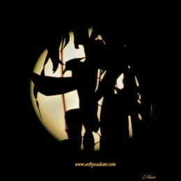 Mysterious Moon (size: 12 x 12)
