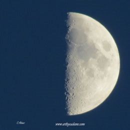Ontario Evening Moon (size: 10 x 10)
