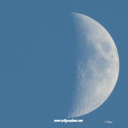 Ontario Luna (size: 16 x 16)