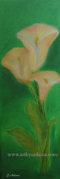Peach Calla Lily (size: 8 x 24)