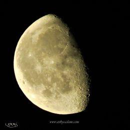 Black Sky Moon (size: 20 x 20)